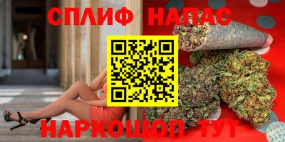ПСИЛОЦИБИНОВЫЕ ГРИБЫ Гатчина