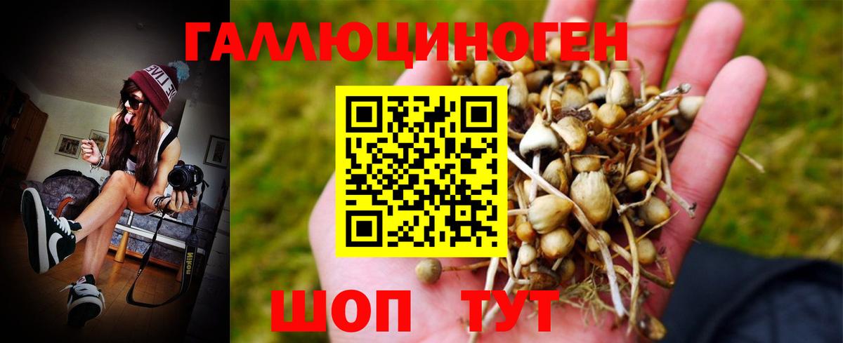Галлюциногенные грибы Magic Shrooms  Вход с VPN  Нижний Новгород  Галлюциногенные грибы Psilocybe 