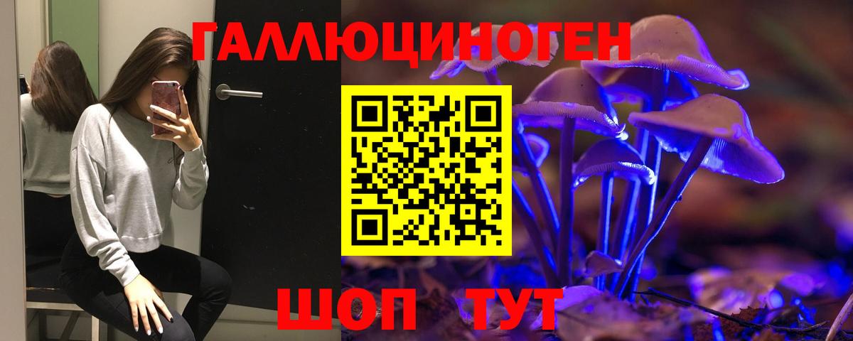 Галлюциногенные грибы Magic Shrooms Нижний Новгород